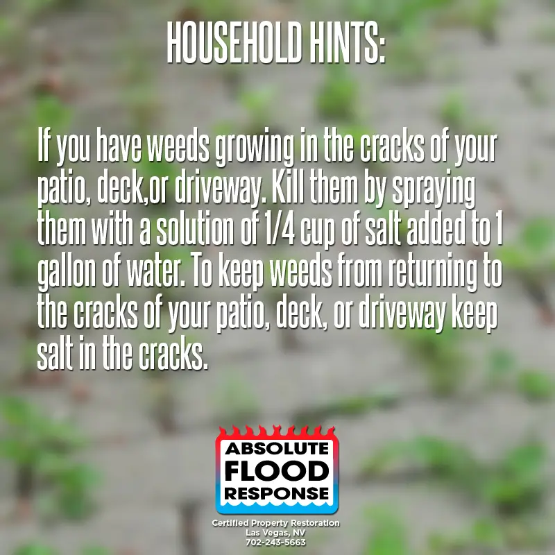 Household Hint and Tip: 19